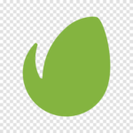 Themeforest