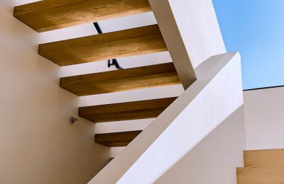 The art or practice of designing and building structures