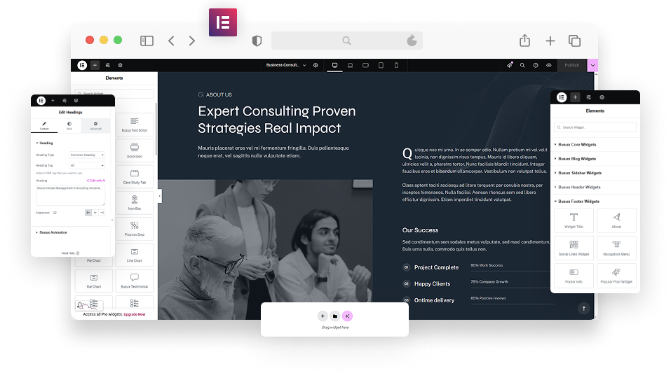 Elementor Page Builder