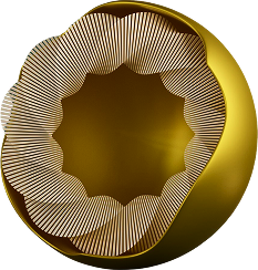 3D Shape