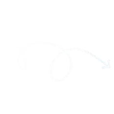 Digilink