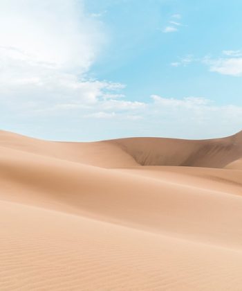 Market {Analysis}