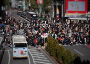 Breathtaking Views Of The Himalayas, You Will envisage le smartphone.