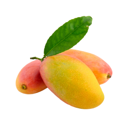 Large Fresh Mango